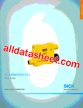 FLA-PWRI00001